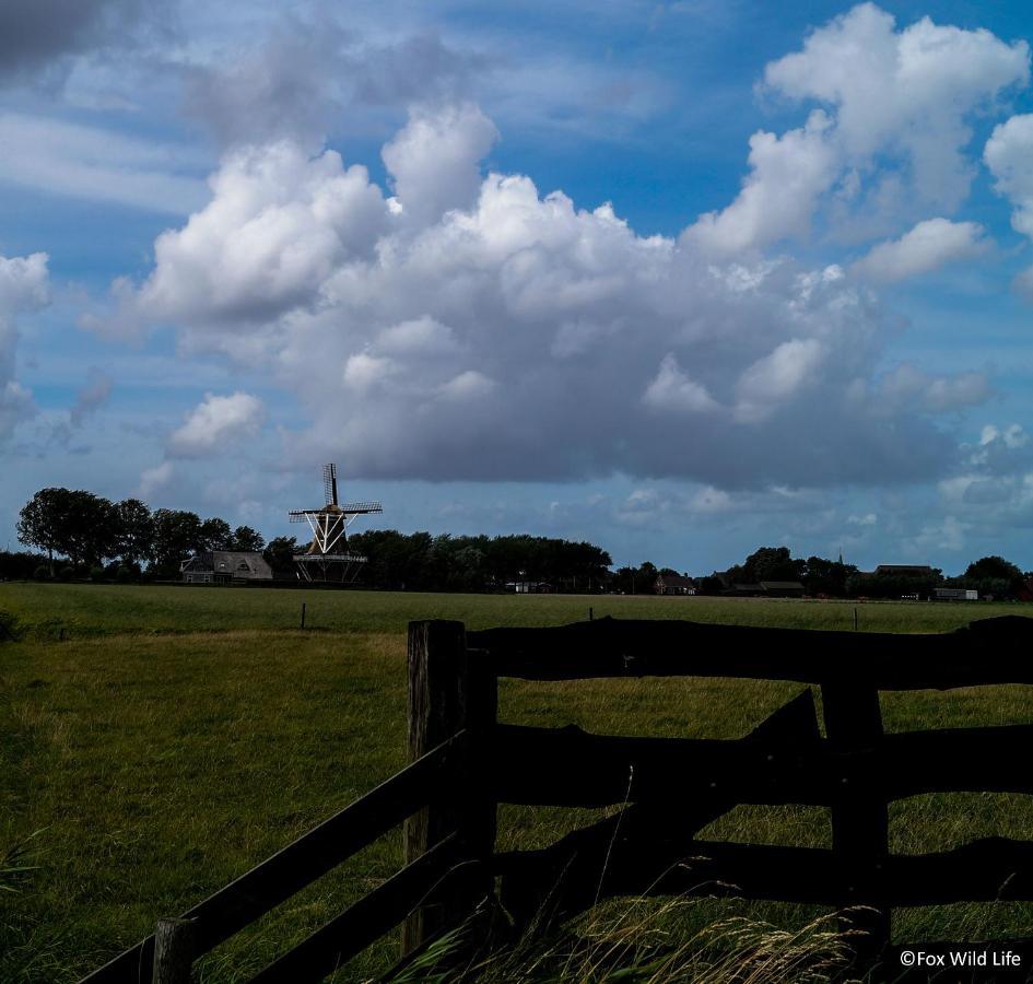 The Wee White Hoose Bed & Breakfast Oosternijkerk Eksteriør bilde