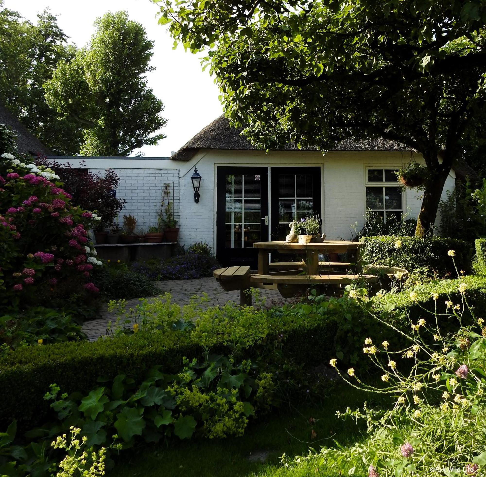 The Wee White Hoose Bed & Breakfast Oosternijkerk Eksteriør bilde