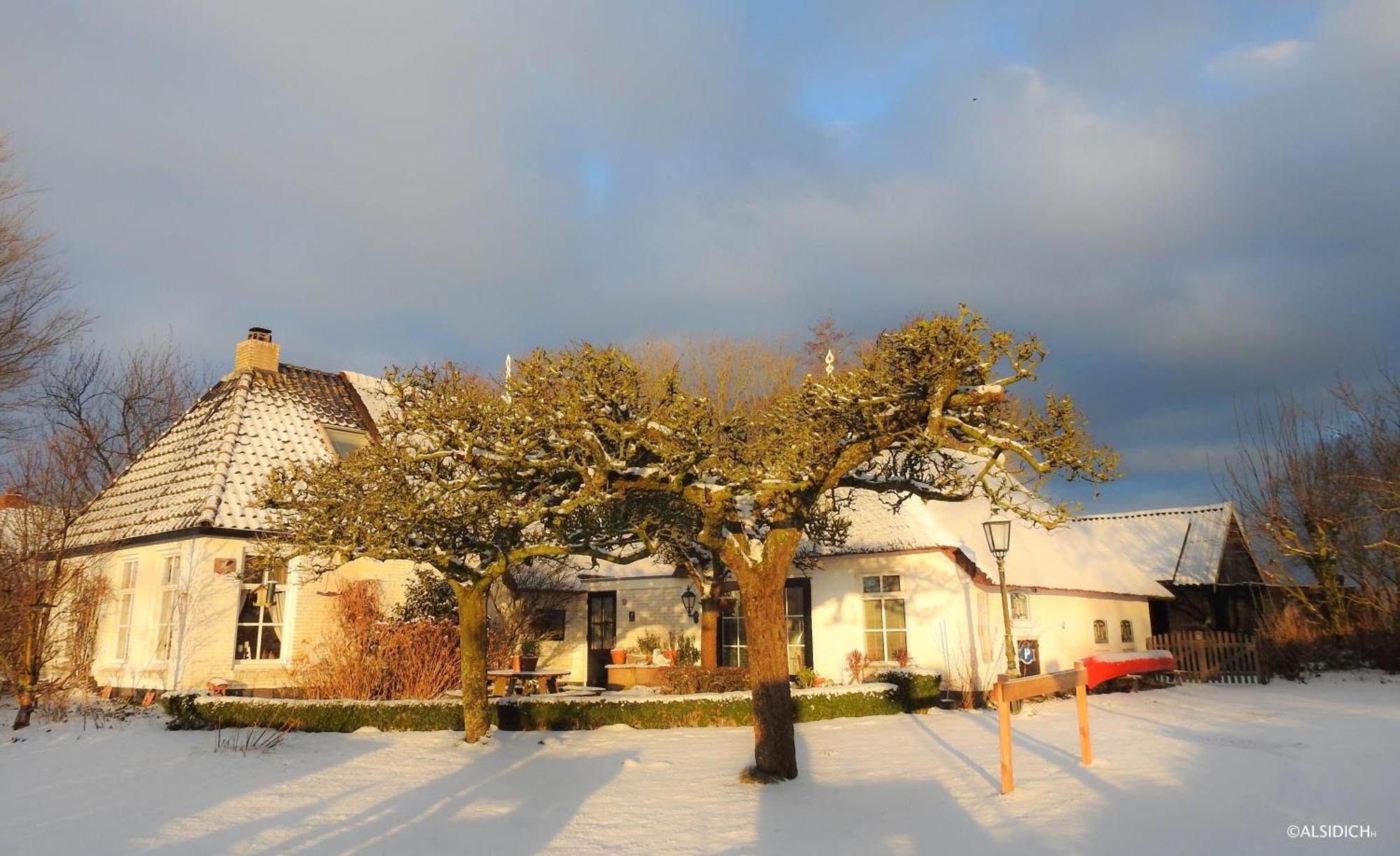 The Wee White Hoose Bed & Breakfast Oosternijkerk Eksteriør bilde