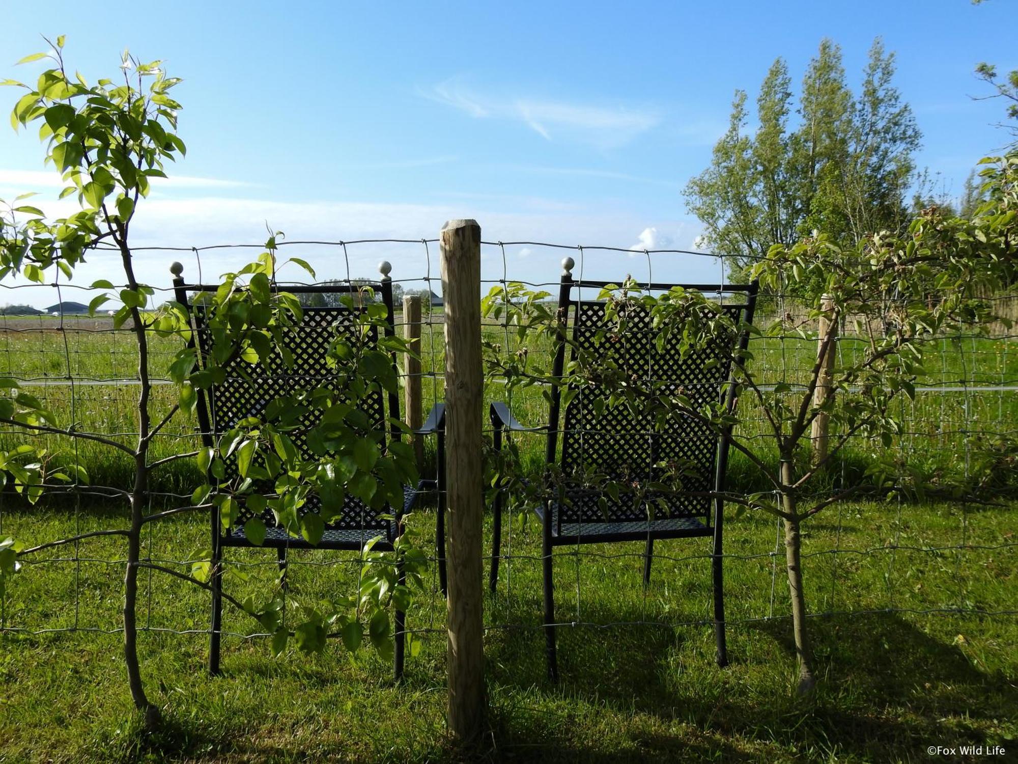 The Wee White Hoose Bed & Breakfast Oosternijkerk Eksteriør bilde